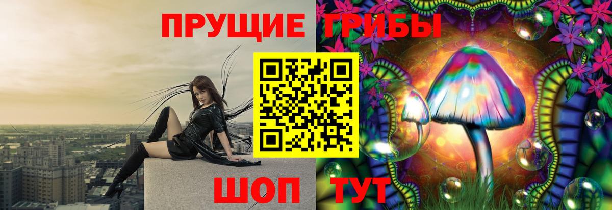 Псилоцибиновые грибы ЛСД Малгобек